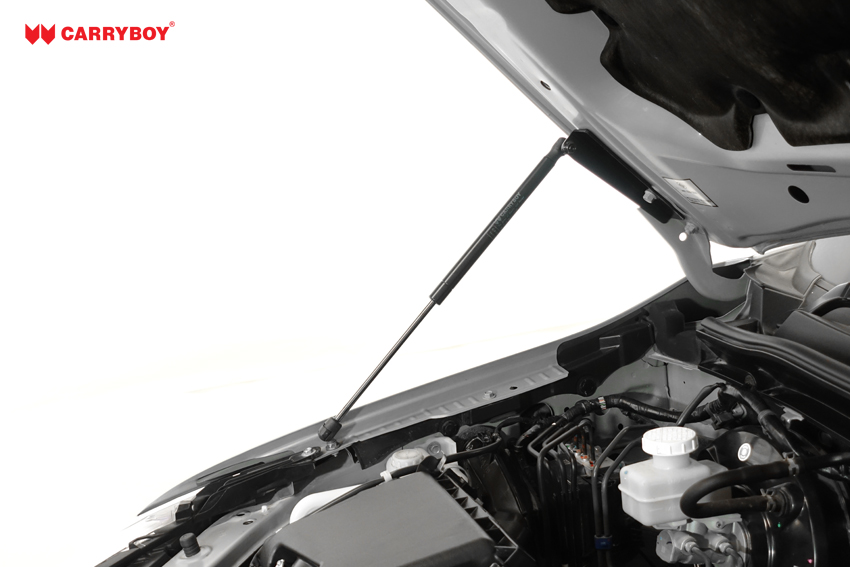 Hood Struts For 2018-2023 Toyota Camry – Lift Supports Replacement, Pack Of 2 | Easy Install, No Tools Needed